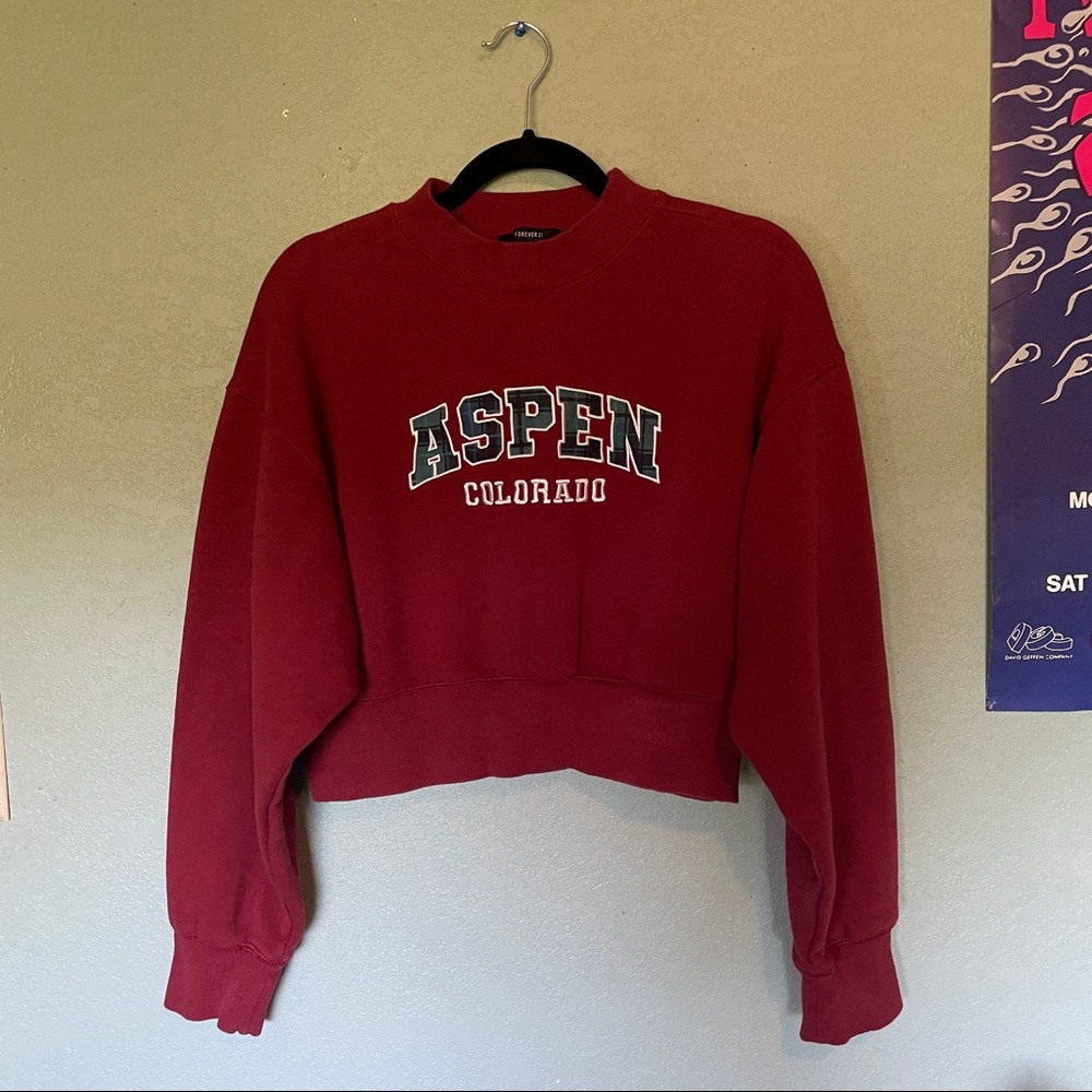 Forever 21 Aspen Colorado long sleeve crop